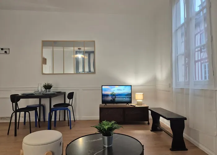 Appartement Le Norman Centre Historique Lumineux